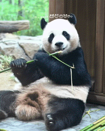bCQfGD.gif