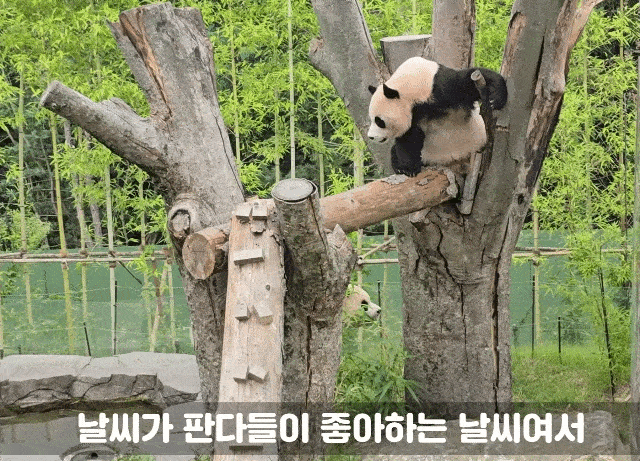 bCSqZe.gif