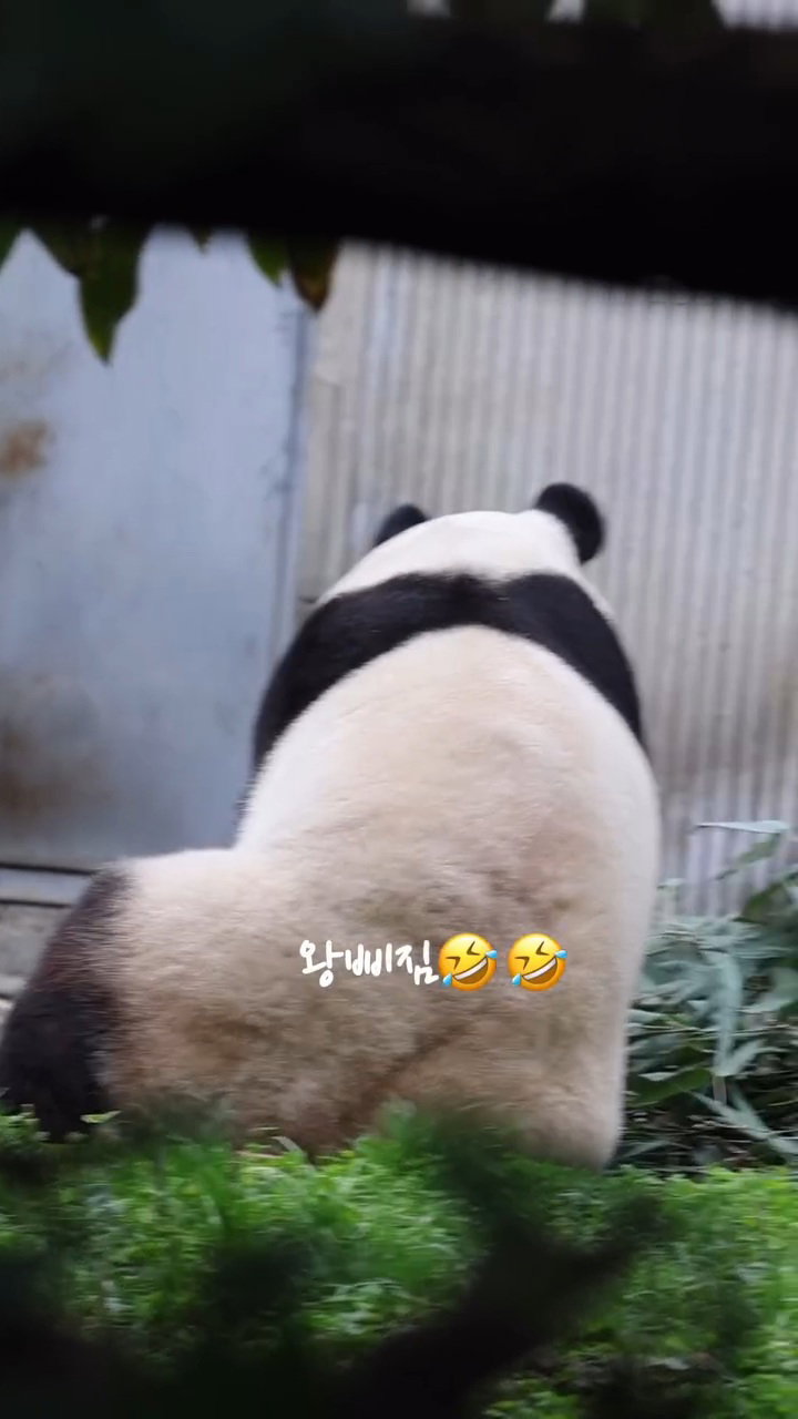 bDmxHg
