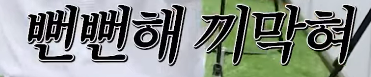 bDvxaq