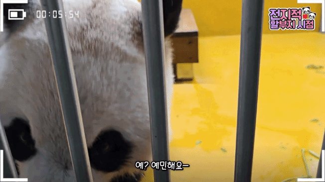bELxOQ.gif