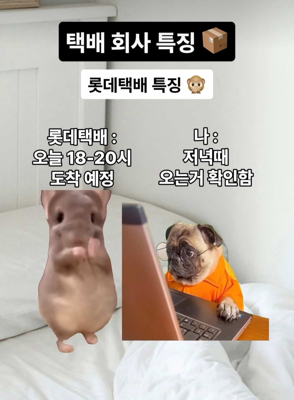 bFtnFQ