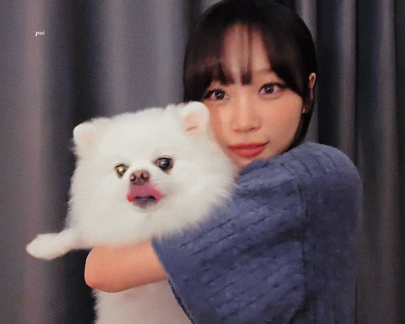 bJRJFS.gif