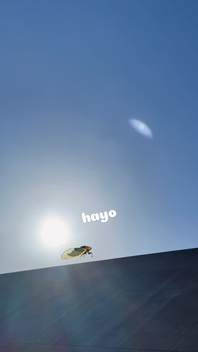 bJatIG