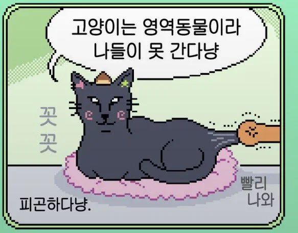 bNalcp