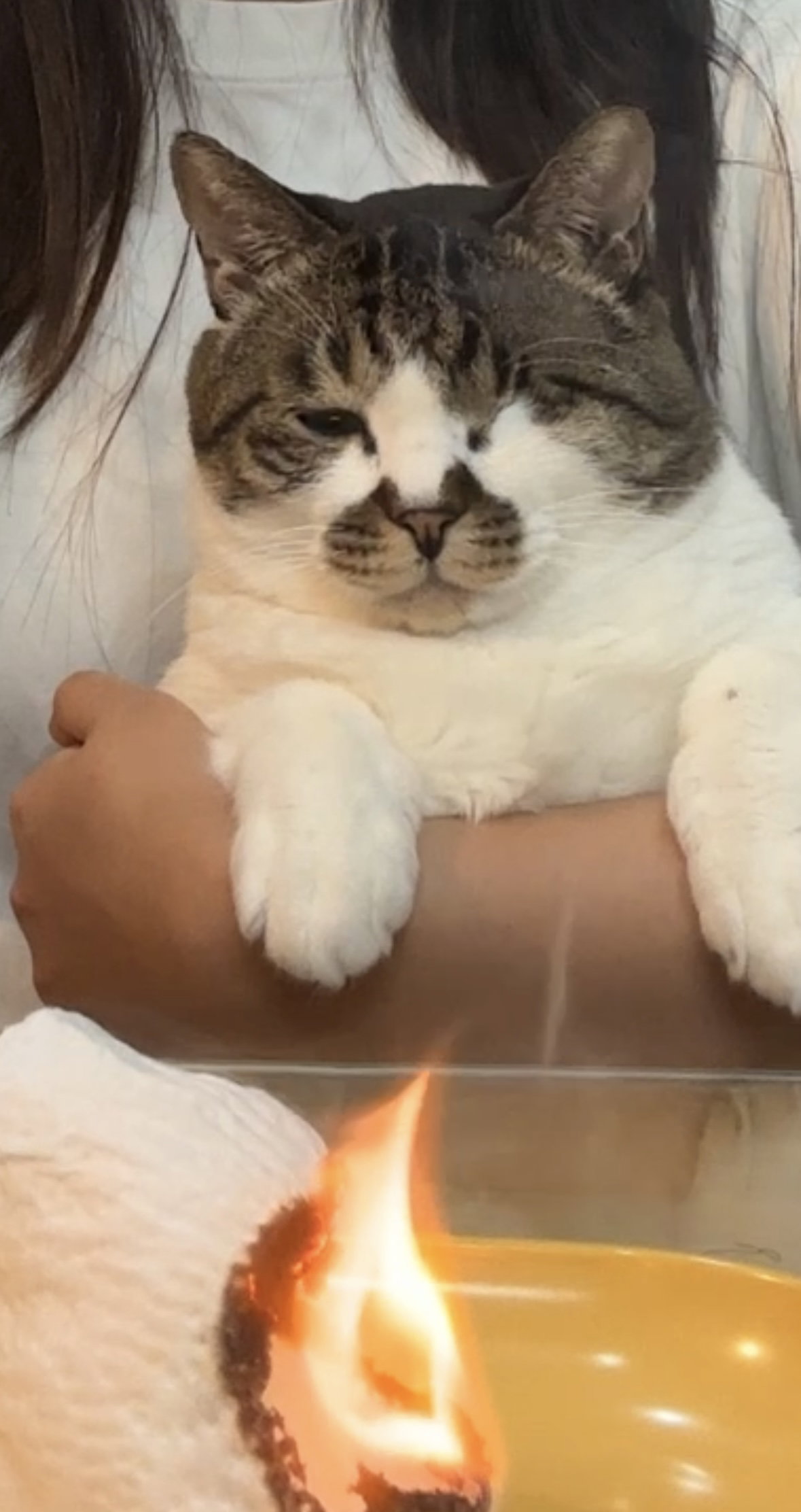 bOFsdg