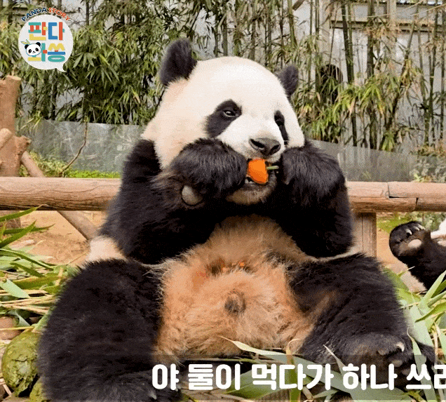 bOukqi.gif