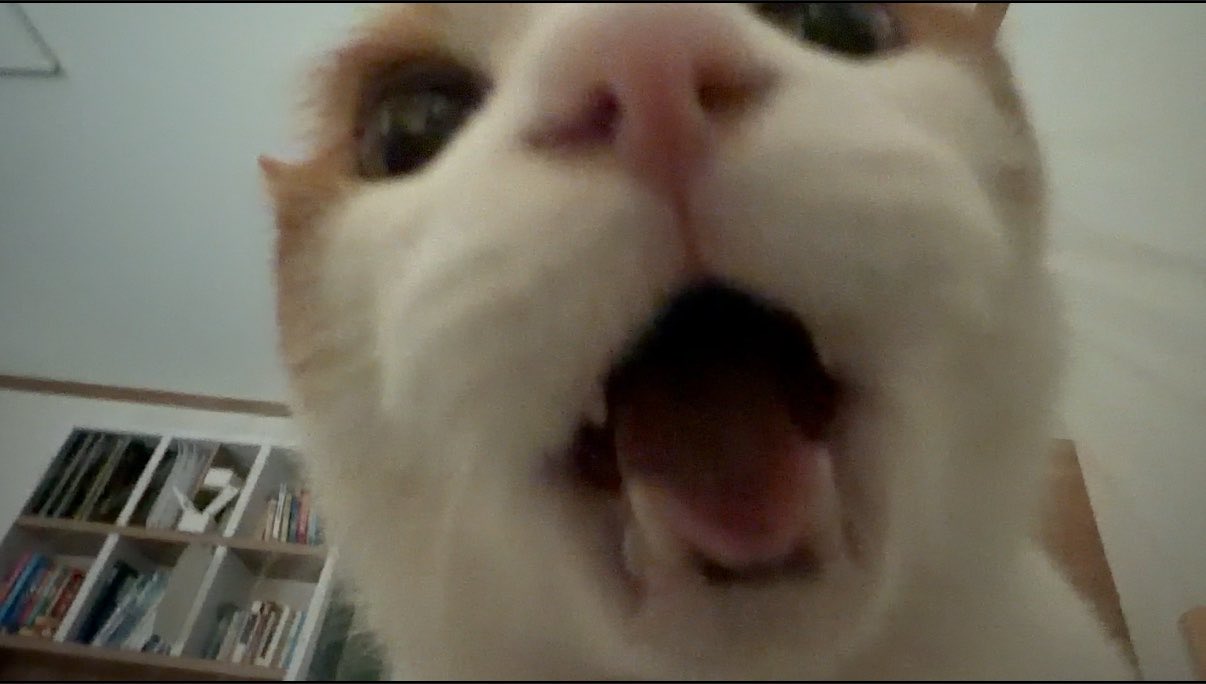 bQbUiP