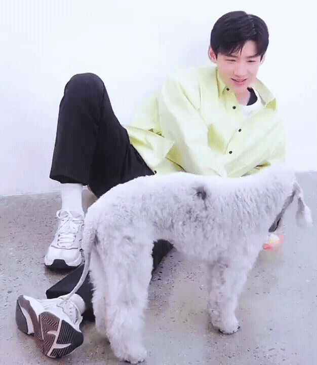 bQngHF.gif