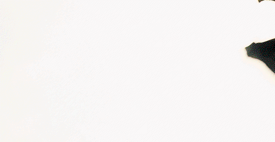 bRLJiC.gif
