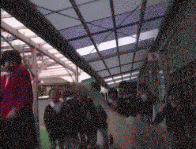 bSEAUA.gif