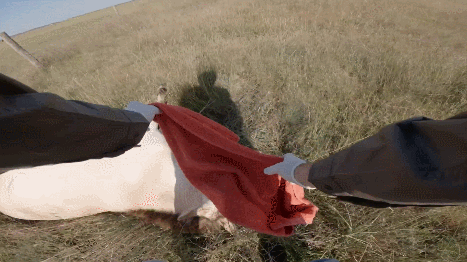 bSvkam.gif
