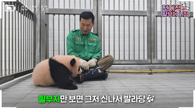 bTmiGF.gif