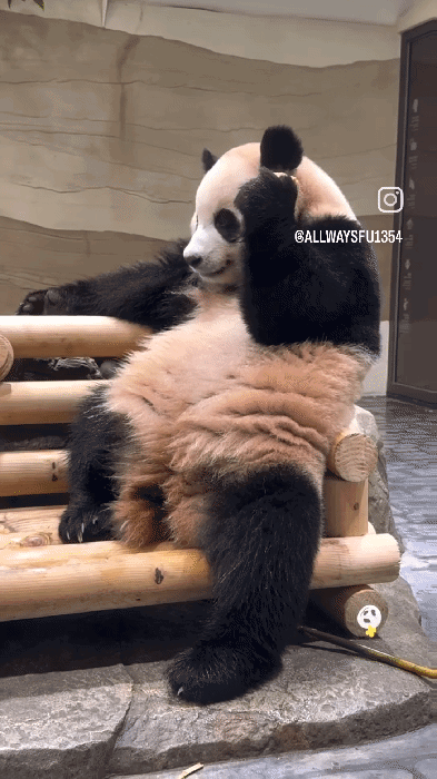 bUdNRZ.gif