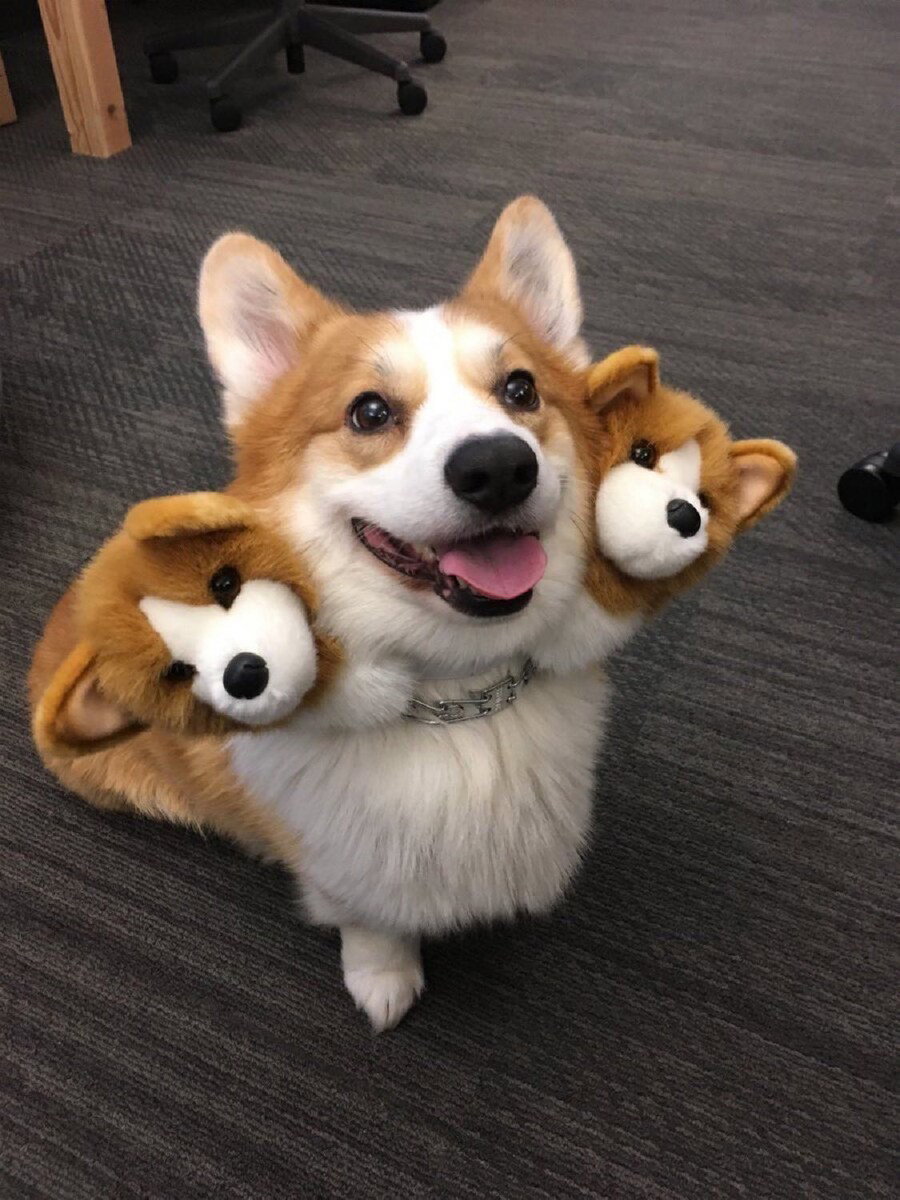 bUwsMp