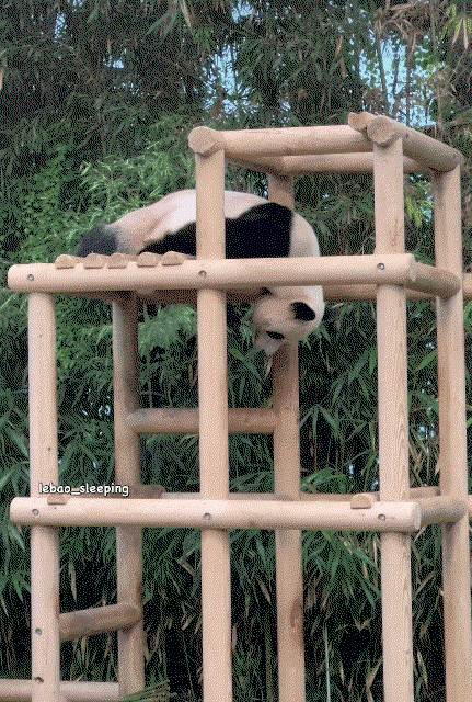bVJGpk.gif