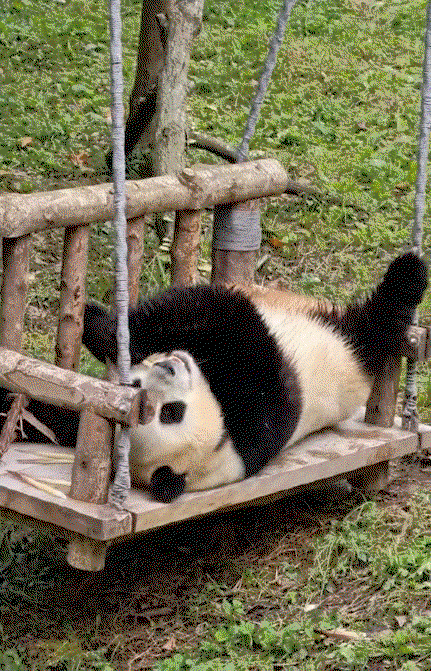 bZUEyx.gif