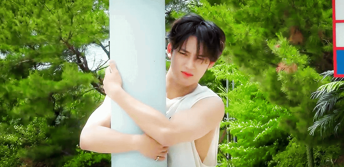 bZoMLF.gif