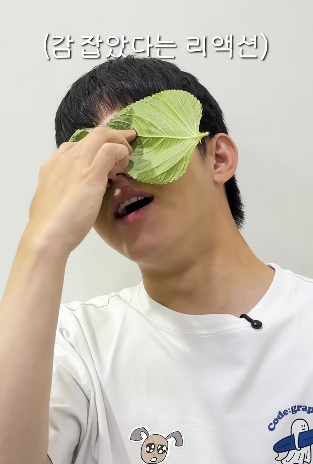 baJWED