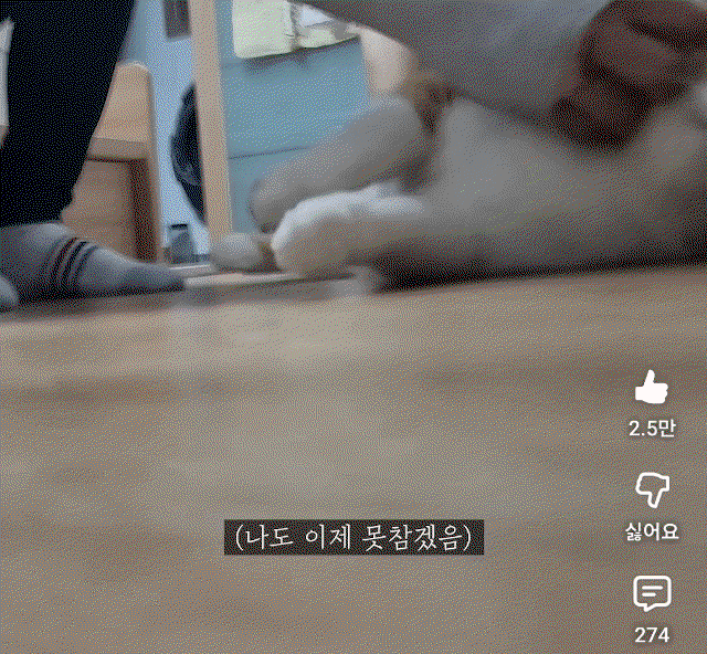 baQqCs.gif