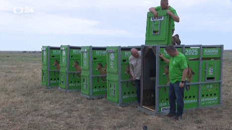 bbvPHc.gif