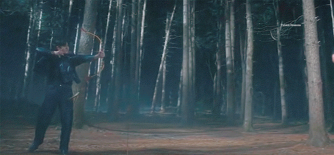 bcexEV.gif