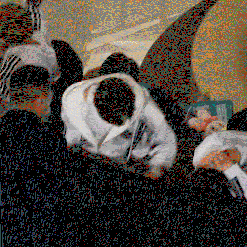 bcyDWT.gif