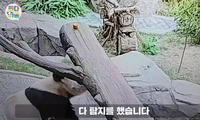 bdigUm.gif
