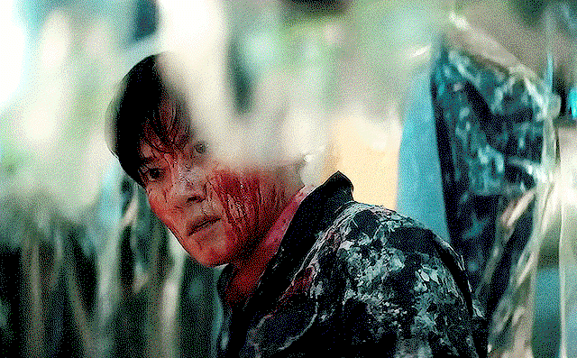 bfrnic.gif