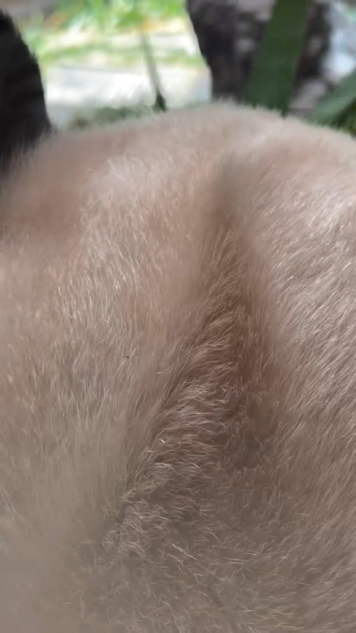 bhJnpH