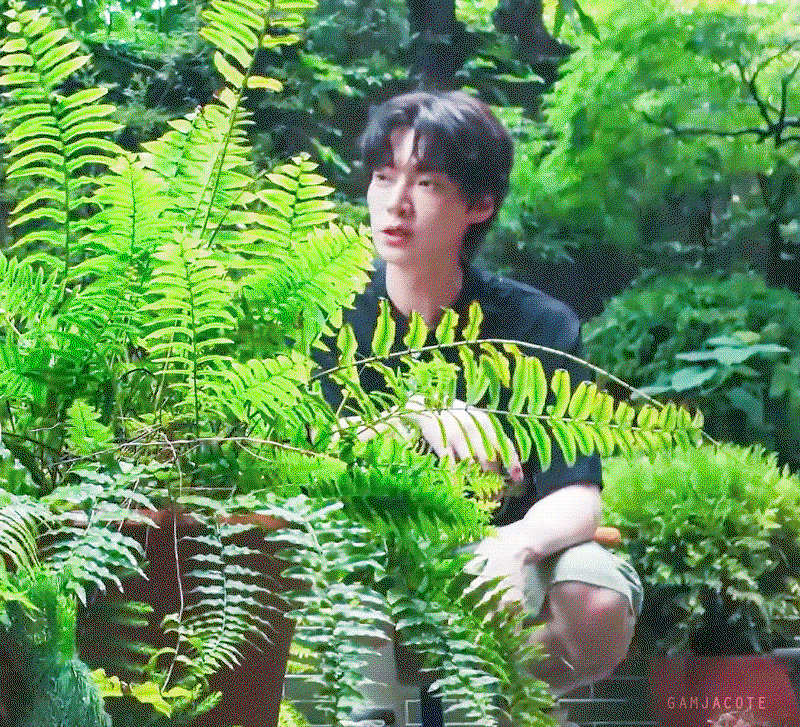 bhXcfl.gif