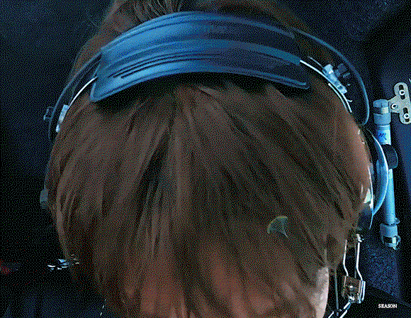 bhcagc.gif