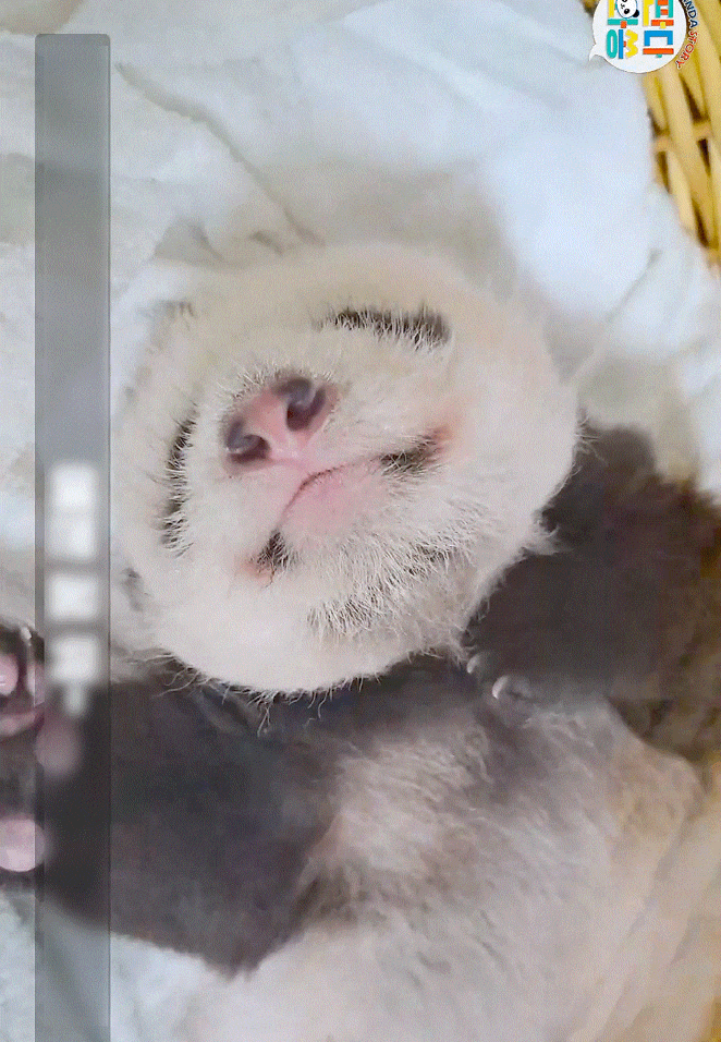 bivsXZ.gif