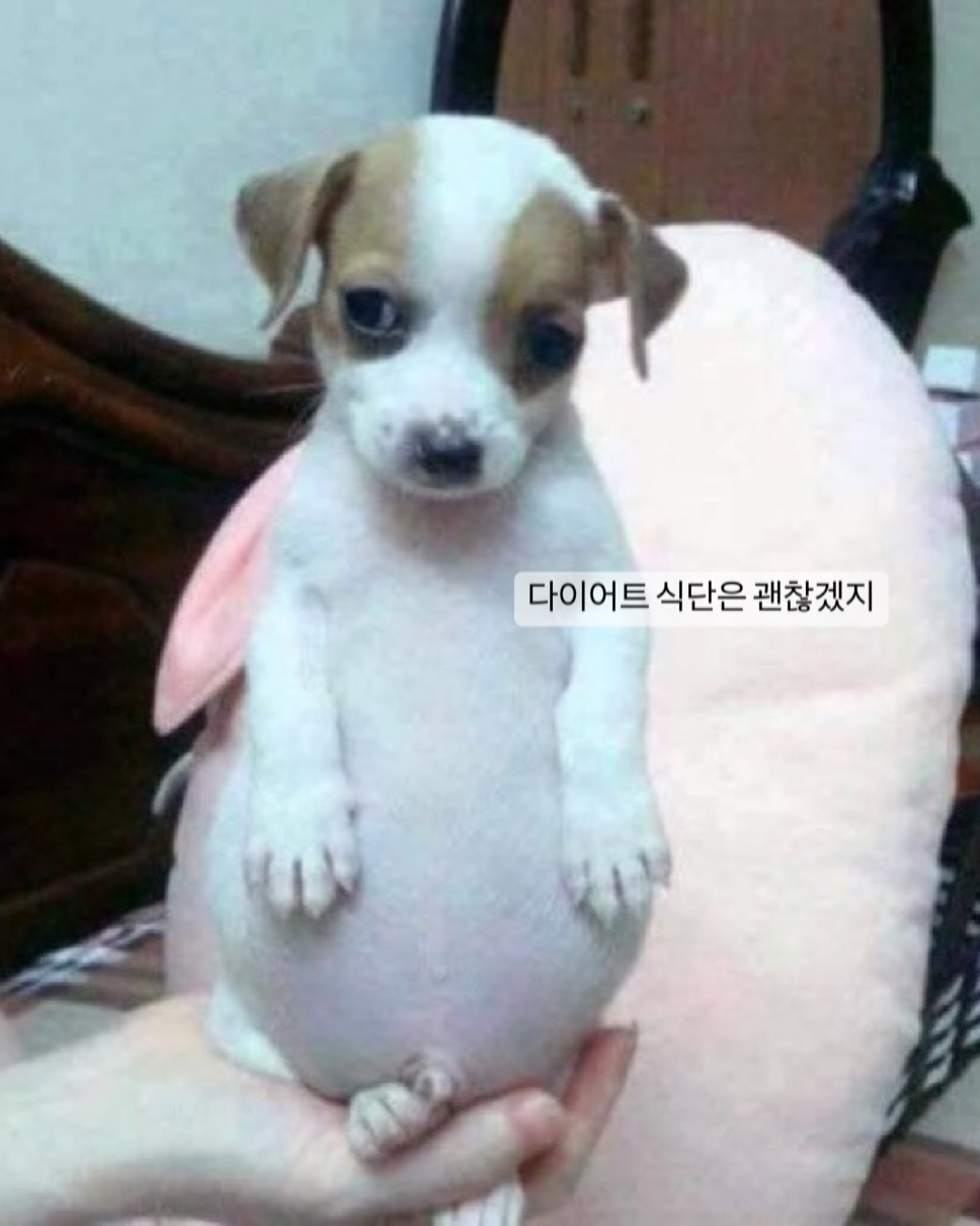 bjFFdx