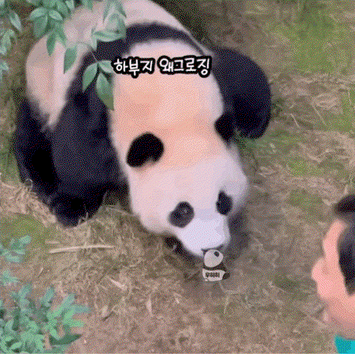 bkNNPr.gif