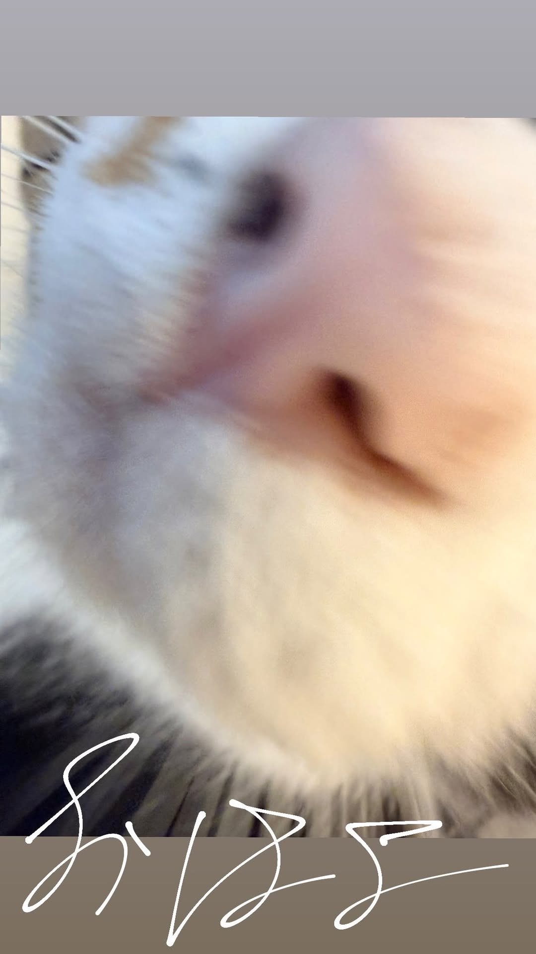 bkePcE