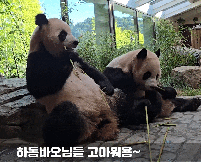 bpMuTK.gif