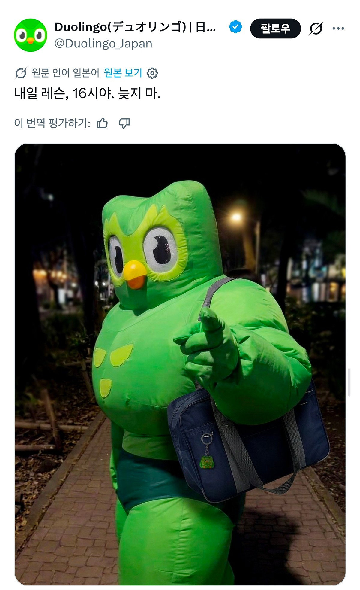 bsWbfz