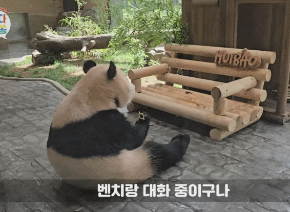 btIAWM.gif
