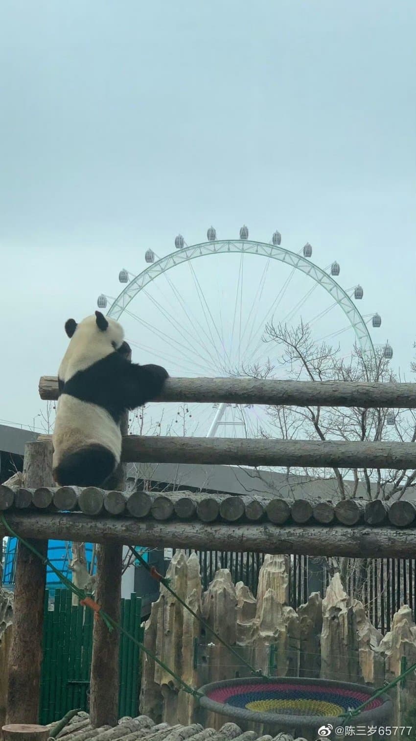 buAcDQ