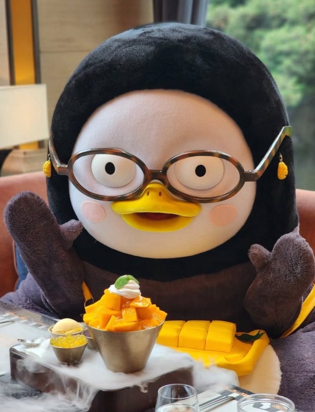 bxqaVZ