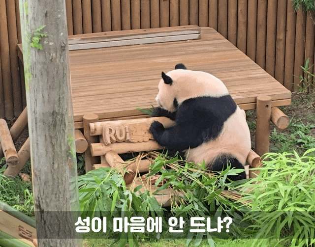 byOjoM.gif