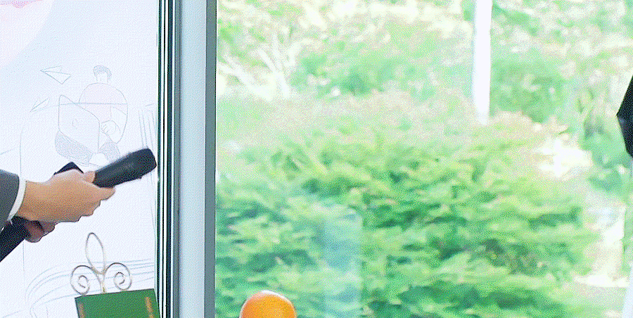 bzybpp.gif