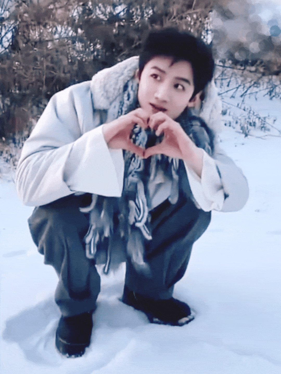 cBcLNV.gif