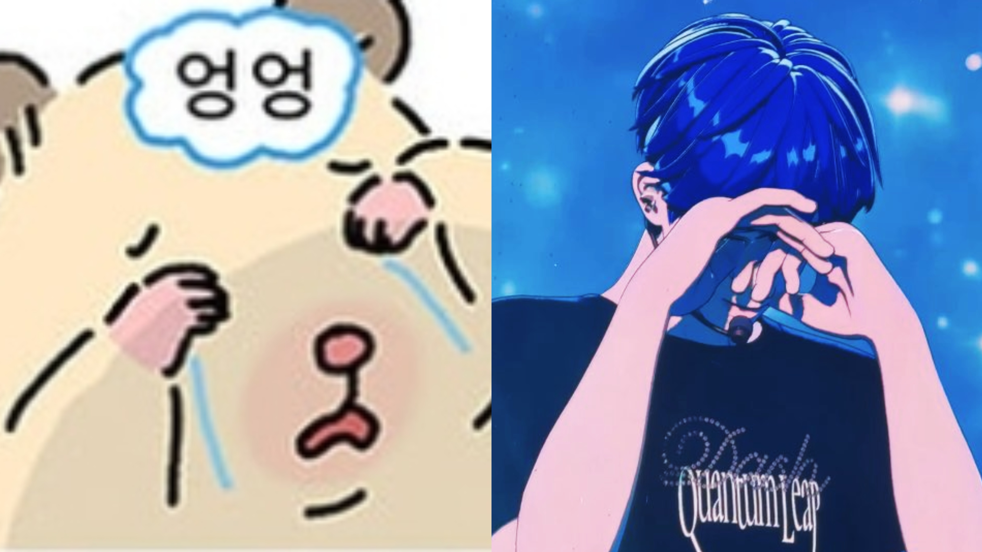 cDYdMy