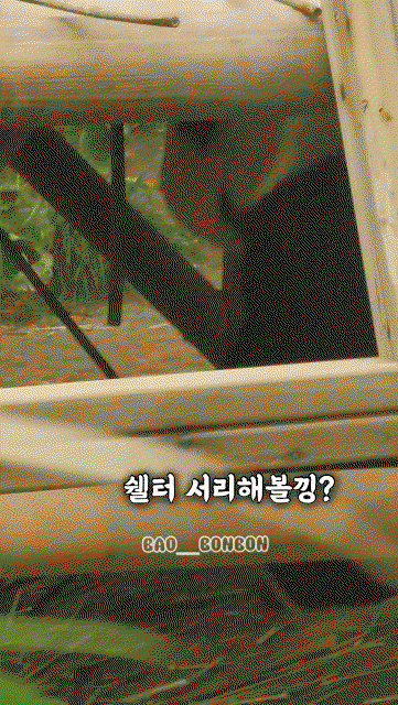 cEizMt.gif