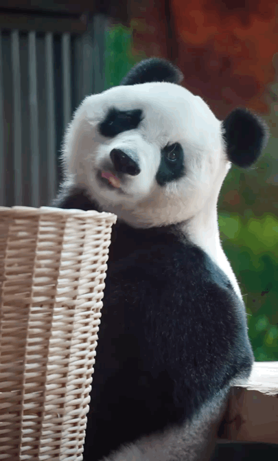 cFRjni.gif