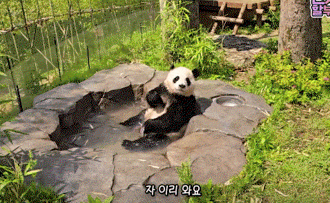 cGQvqT.gif