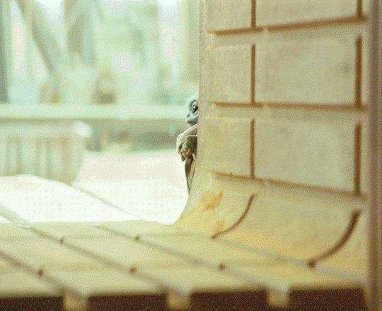 cIuqVQ.gif
