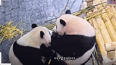 cKBExa.gif